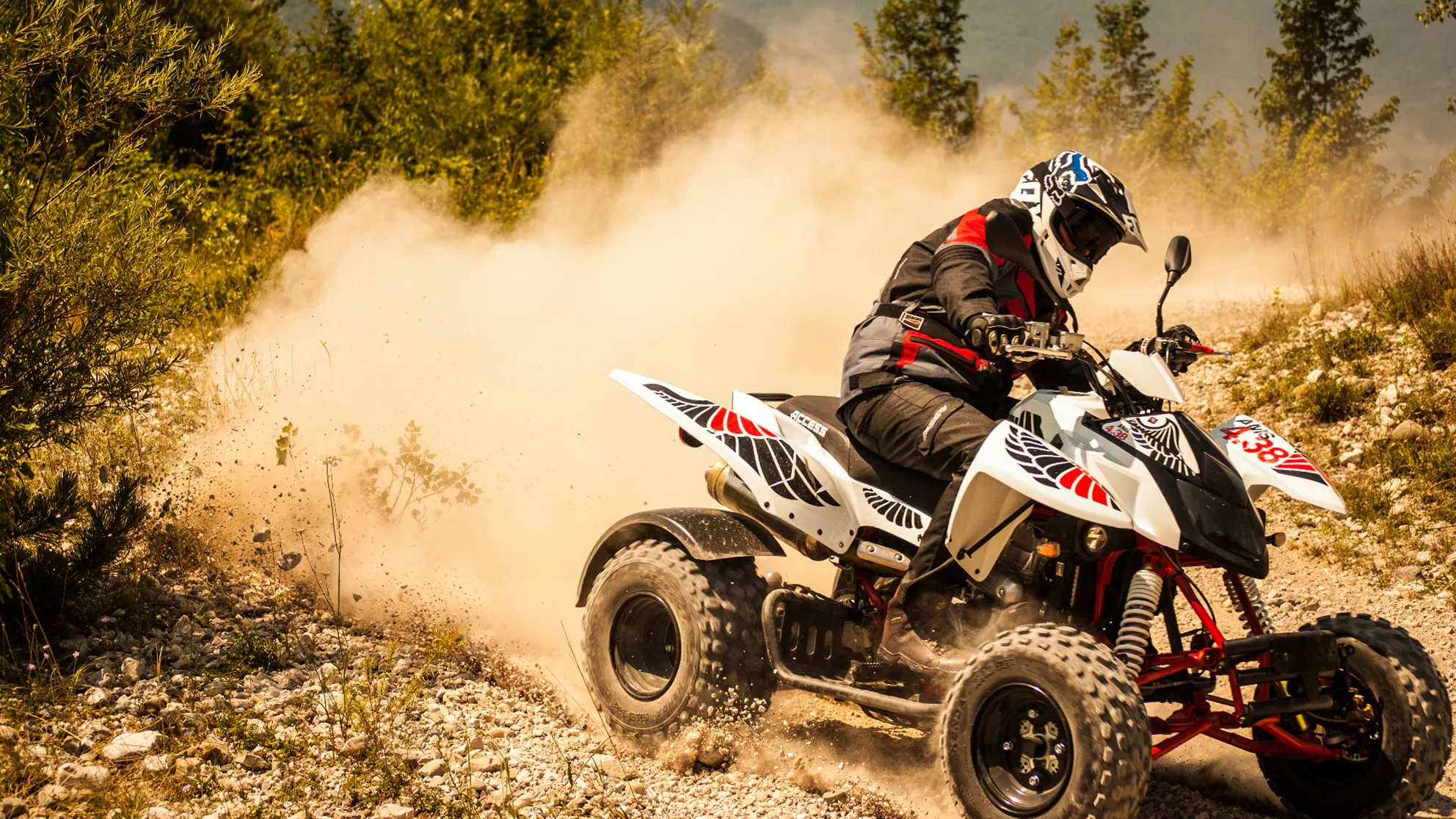 Access AMS 4.38 SM - Image 3 Access AMS 4.38 SM - Image 3